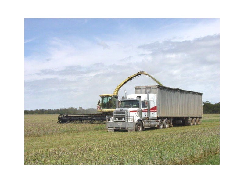 Yelarbon QLD 4388