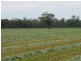 Yelarbon QLD 4388