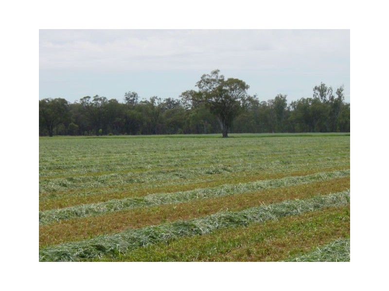 Yelarbon QLD 4388