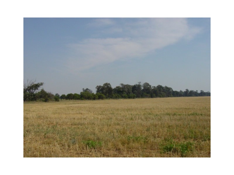 Goondiwindi QLD 4390