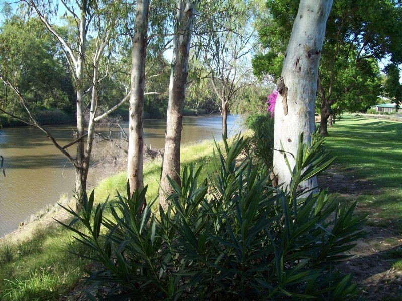 Goondiwindi QLD 4390