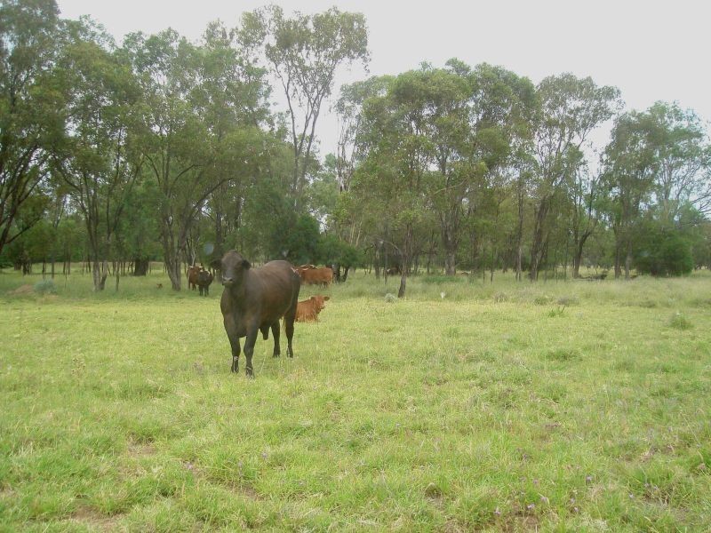 Goondiwindi QLD 4390