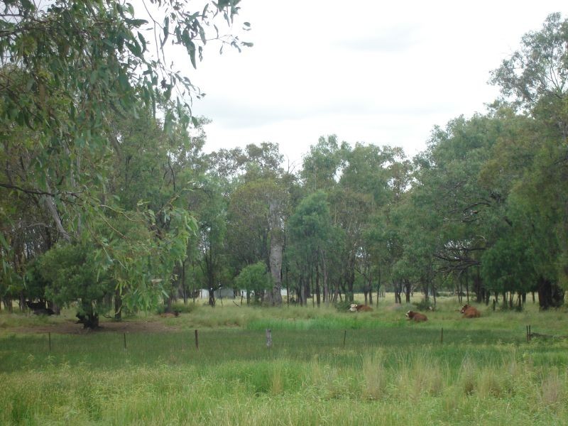 Goondiwindi QLD 4390