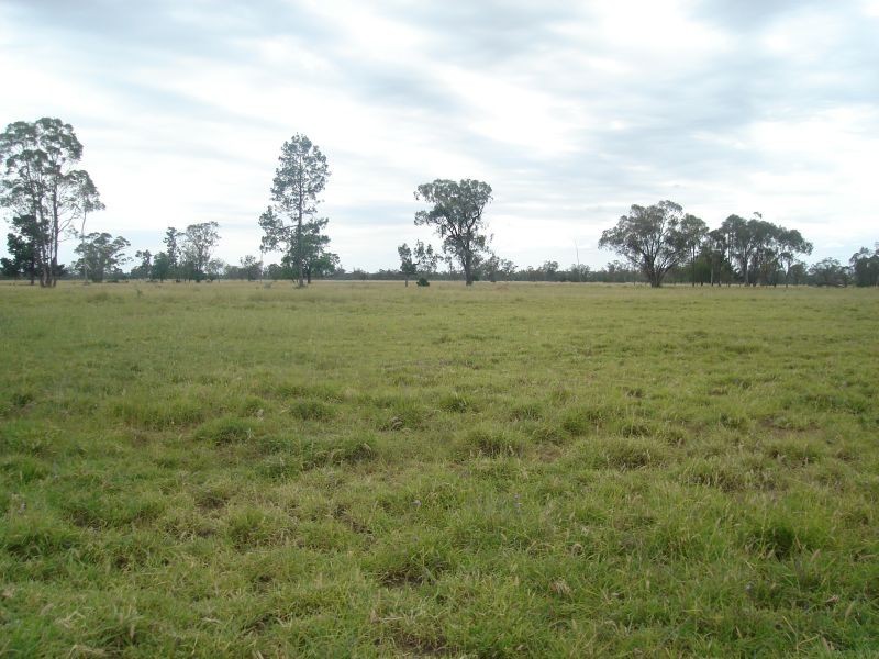 Goondiwindi QLD 4390