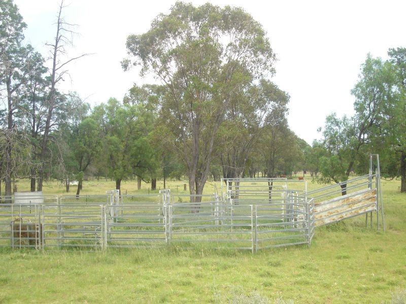 Goondiwindi QLD 4390