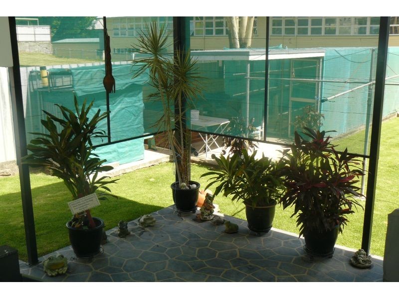 Goondiwindi QLD 4390