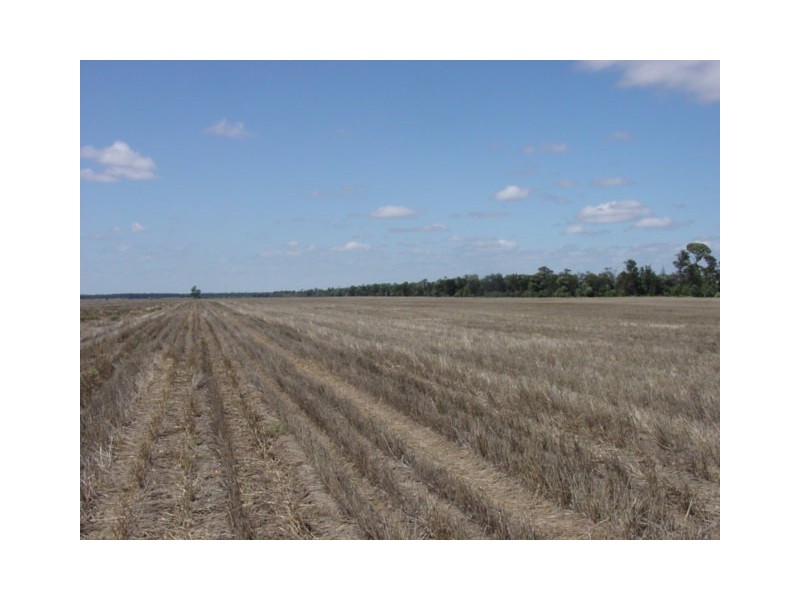 Goondiwindi QLD 4390