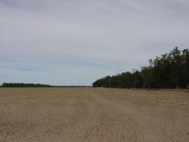 Goondiwindi QLD 4390