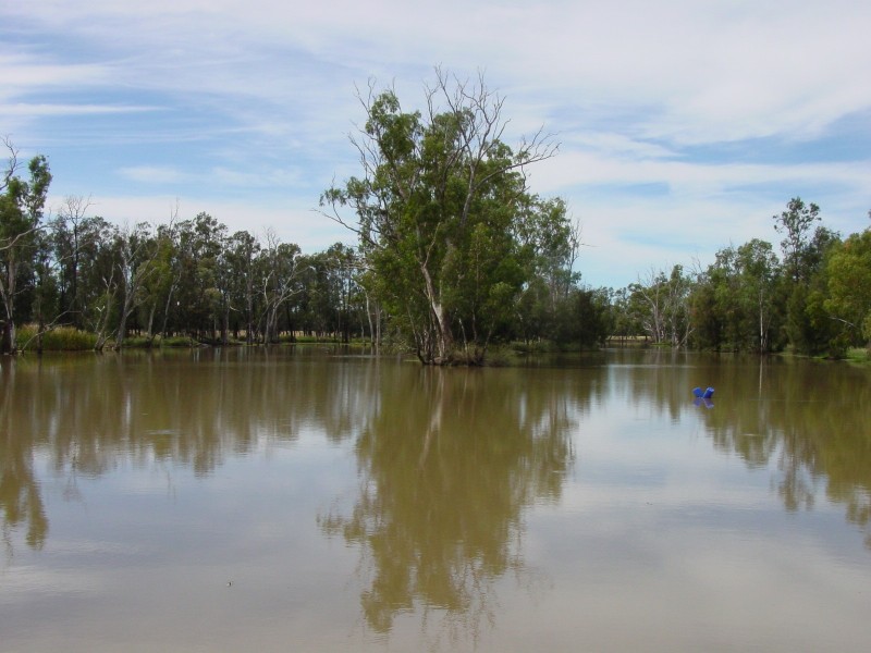 Goondiwindi QLD 4390