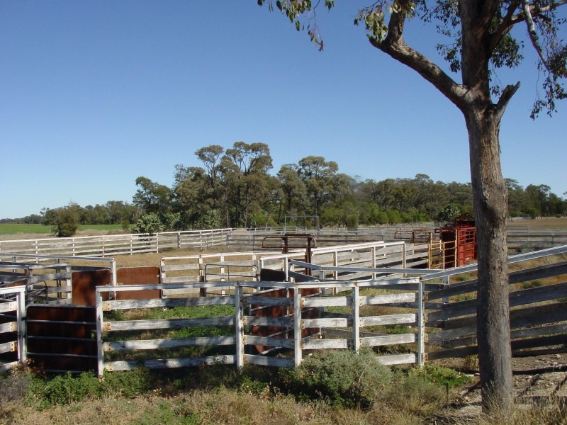 Goondiwindi QLD 4390