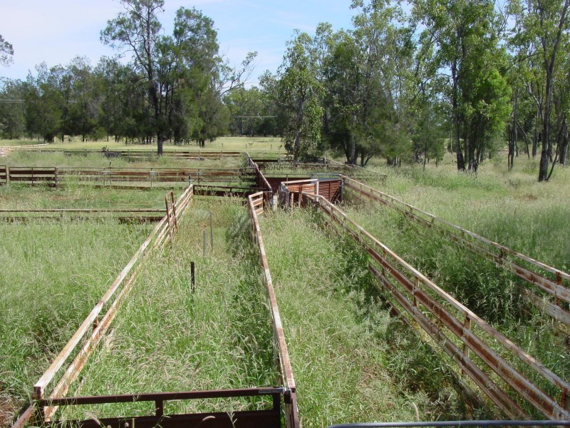 Goondiwindi QLD 4390