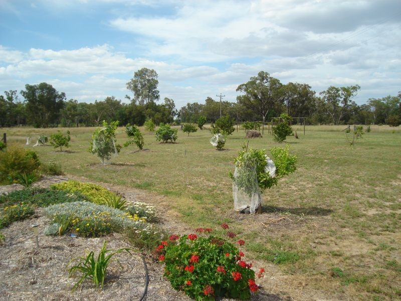Goondiwindi QLD 4390
