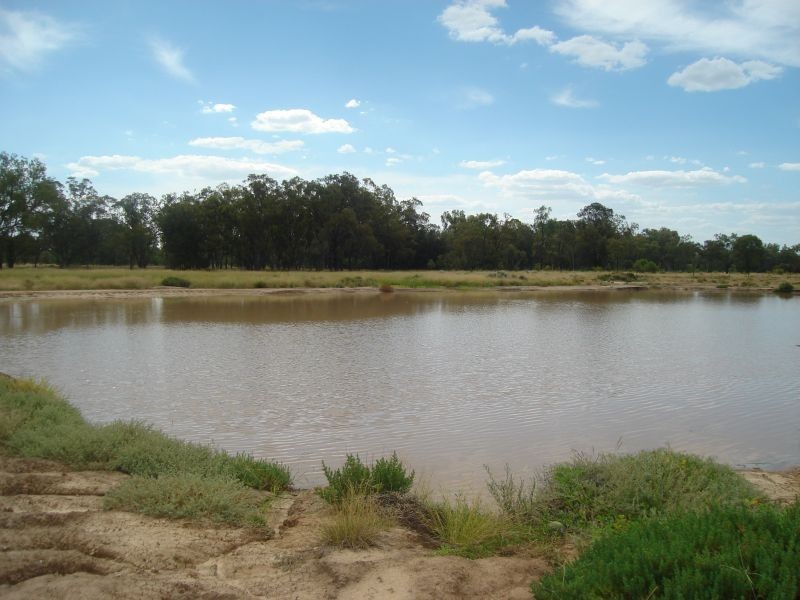 Goondiwindi QLD 4390