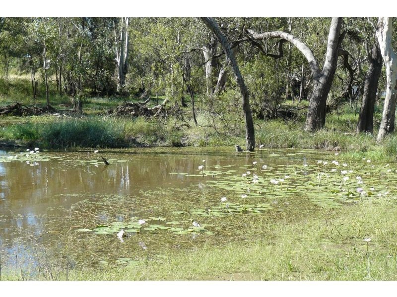 Goondiwindi QLD 4390