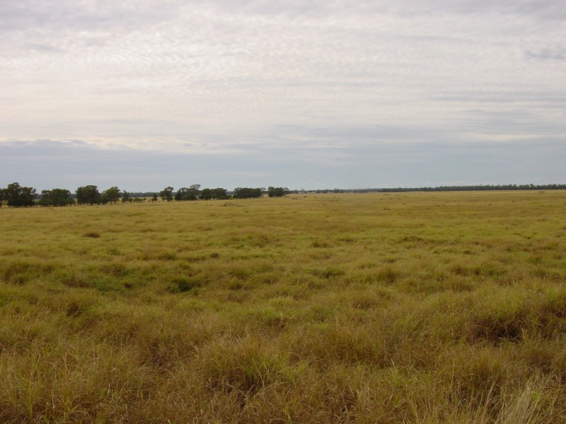 Thallon QLD 4497