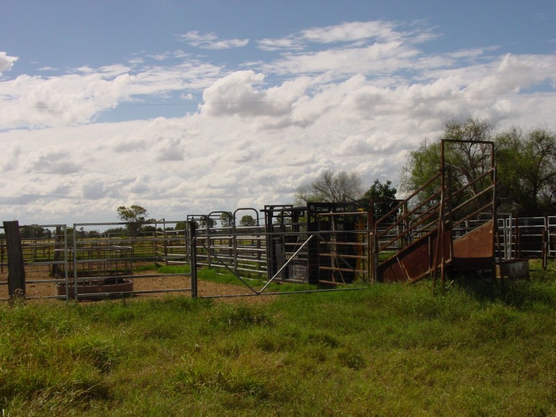 Thallon QLD 4497