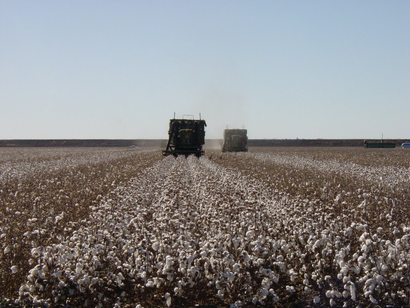 Goondiwindi QLD 4390