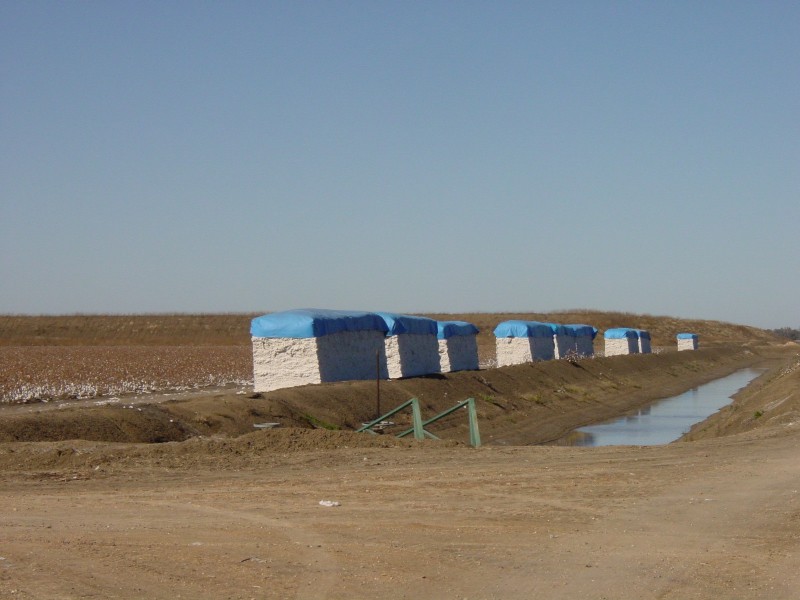 Goondiwindi QLD 4390