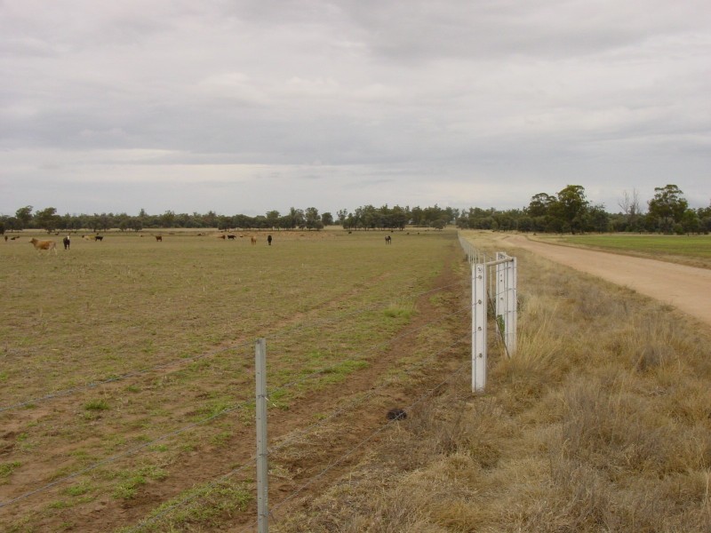 Goondiwindi QLD 4390