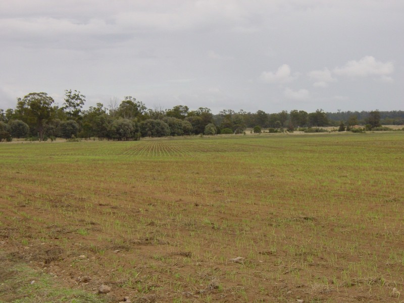 Goondiwindi QLD 4390