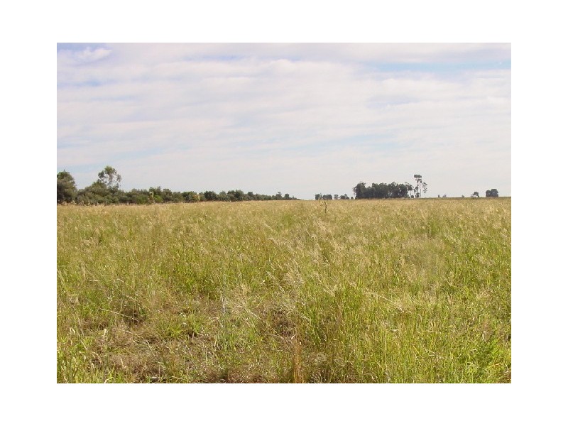 Goondiwindi QLD 4390