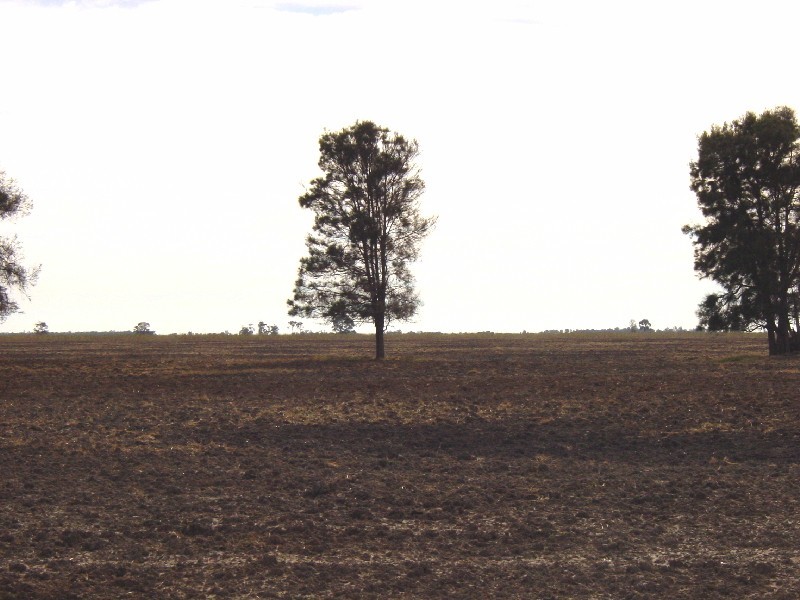 Goondiwindi QLD 4390