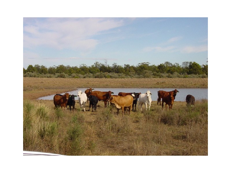 Goondiwindi QLD 4390