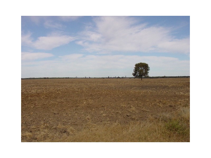 Goondiwindi QLD 4390