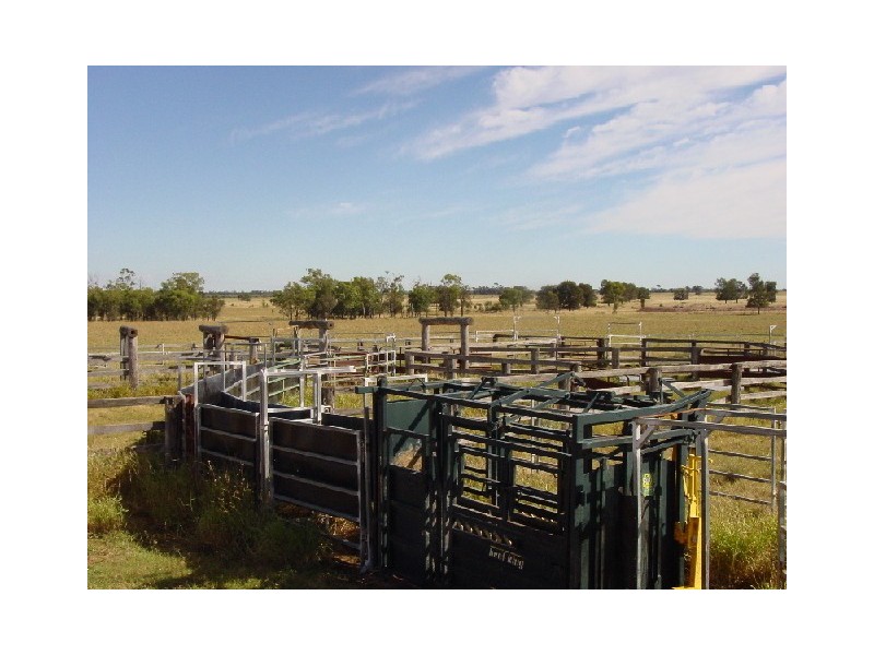 Goondiwindi QLD 4390