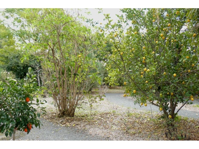 Goondiwindi QLD 4390