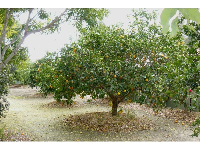 Goondiwindi QLD 4390