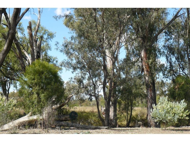 Goondiwindi QLD 4390