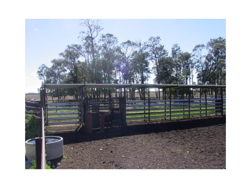 Goondiwindi QLD 4390