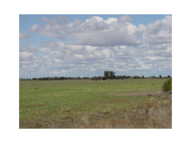 Goondiwindi QLD 4390
