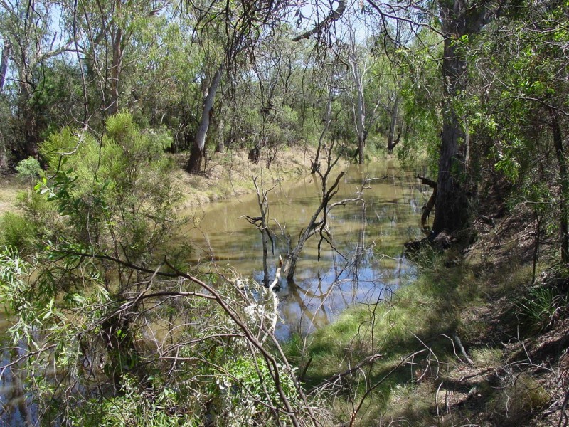 Goondiwindi QLD 4390