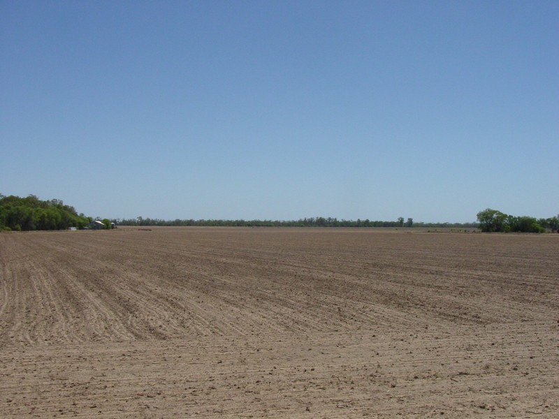 Goondiwindi QLD 4390