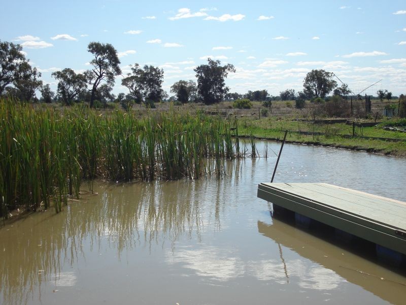 Goondiwindi QLD 4390