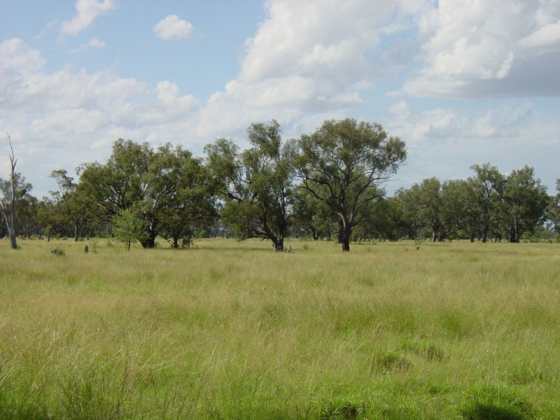 Goondiwindi QLD 4390