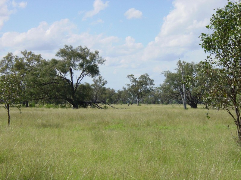 Goondiwindi QLD 4390