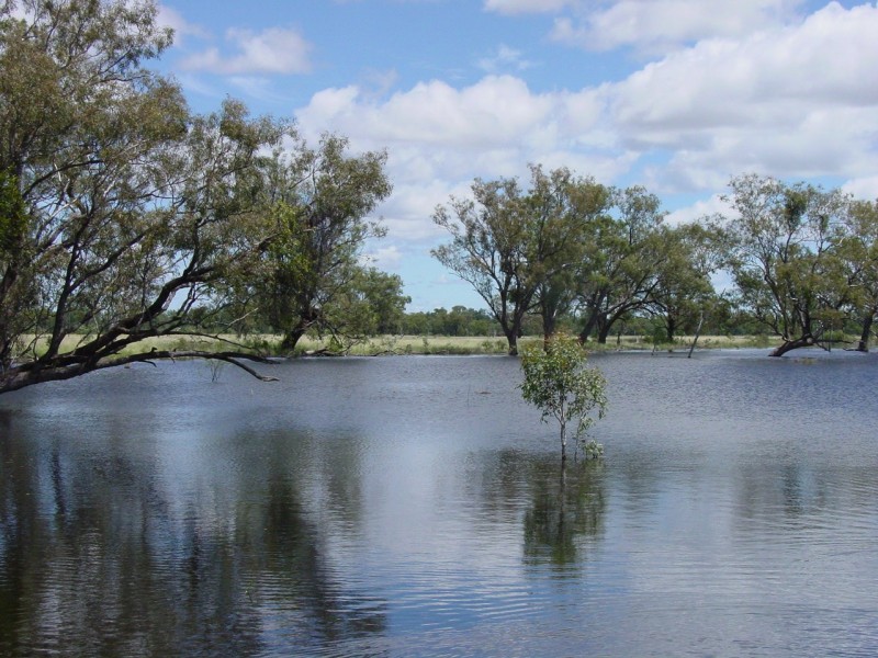 Goondiwindi QLD 4390
