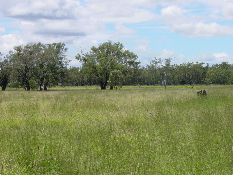 Goondiwindi QLD 4390