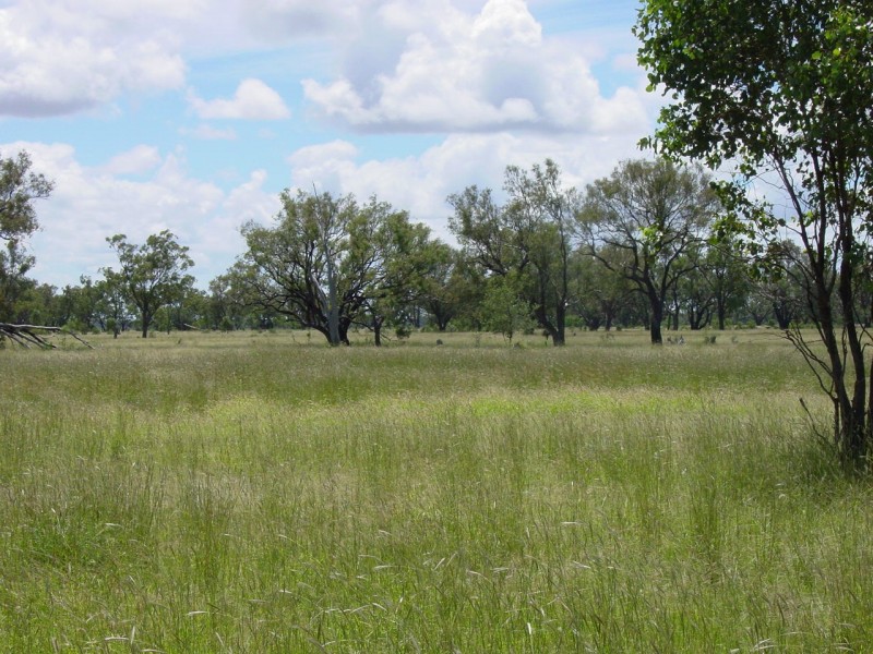 Goondiwindi QLD 4390