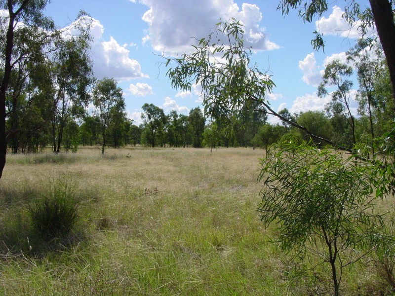 Goondiwindi QLD 4390