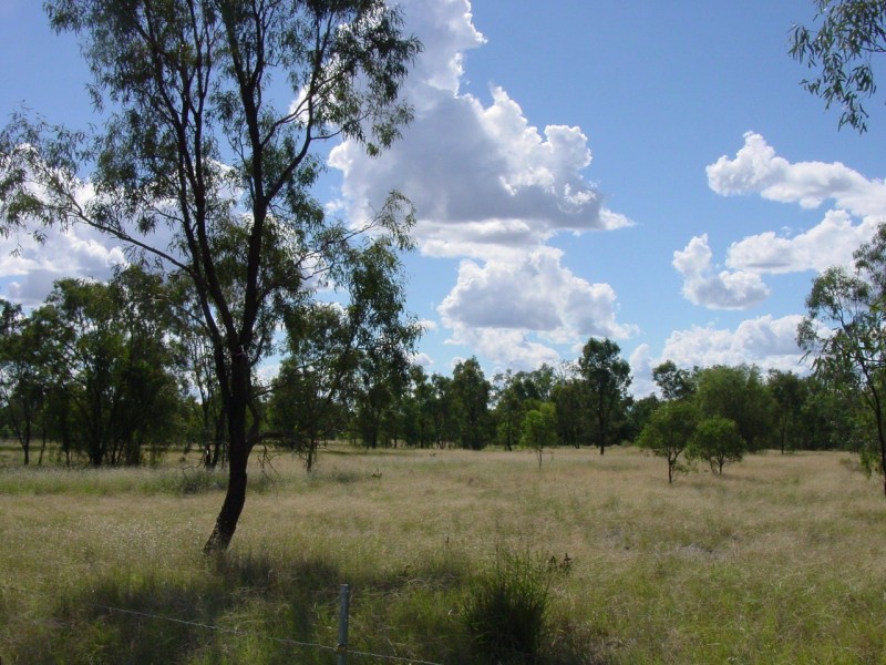 Goondiwindi QLD 4390