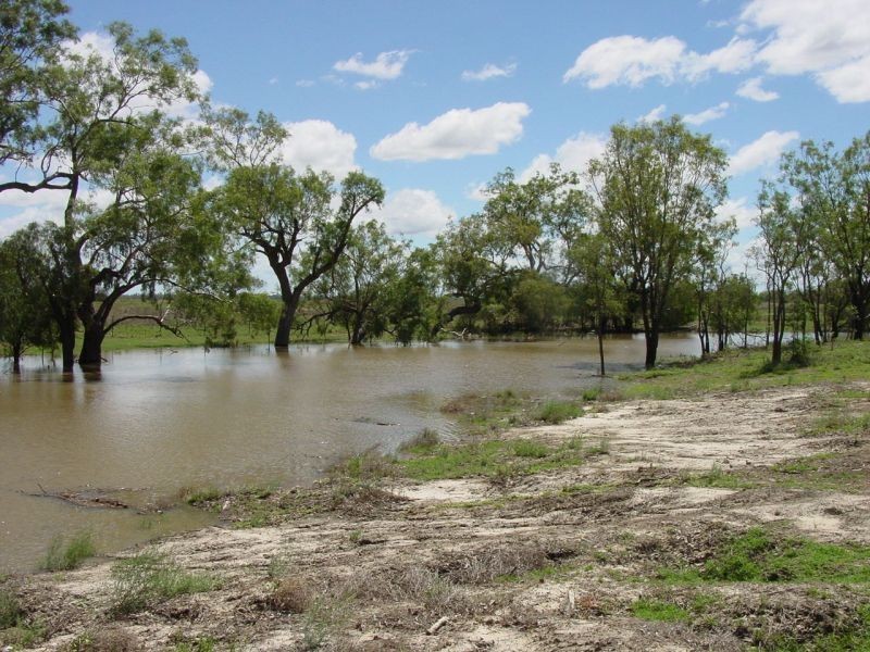 Goondiwindi QLD 4390