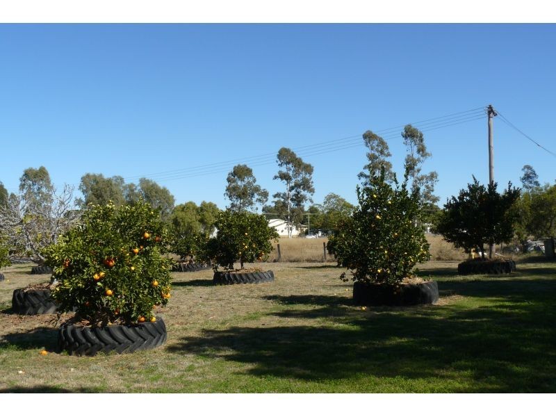 Goondiwindi QLD 4390