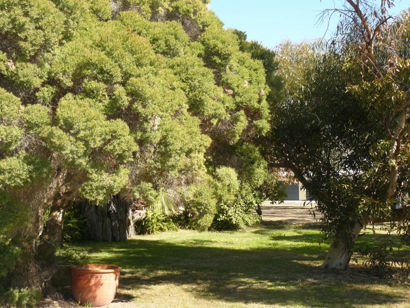 Goondiwindi QLD 4390