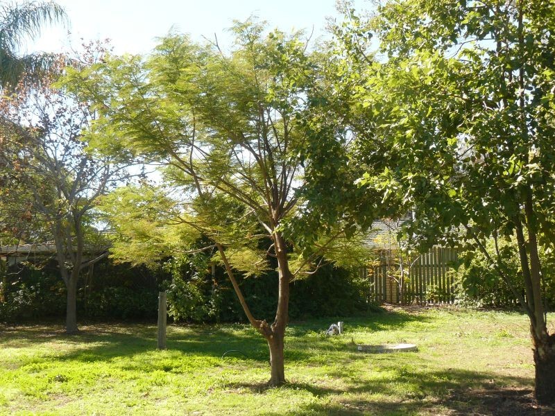 Goondiwindi QLD 4390