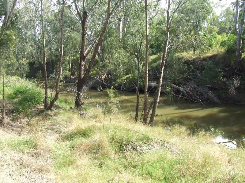 Goondiwindi QLD 4390