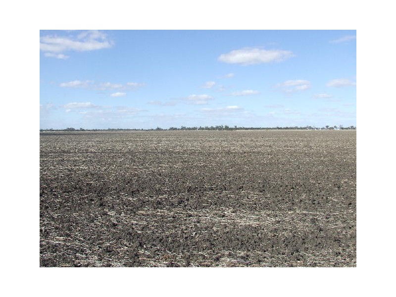 Goondiwindi QLD 4390